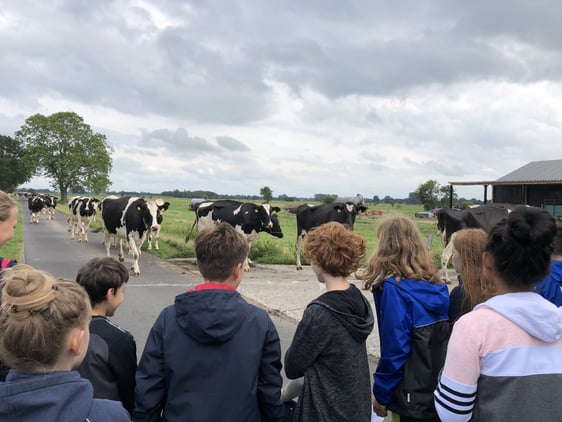 Bilder Kinderfreizeit 2019 CVJM Neukirchen Abgehoben